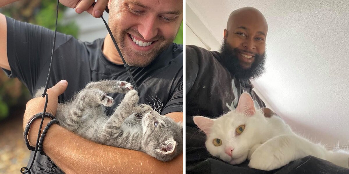 Dating-Profile-With-Cats-Cover.jpeg