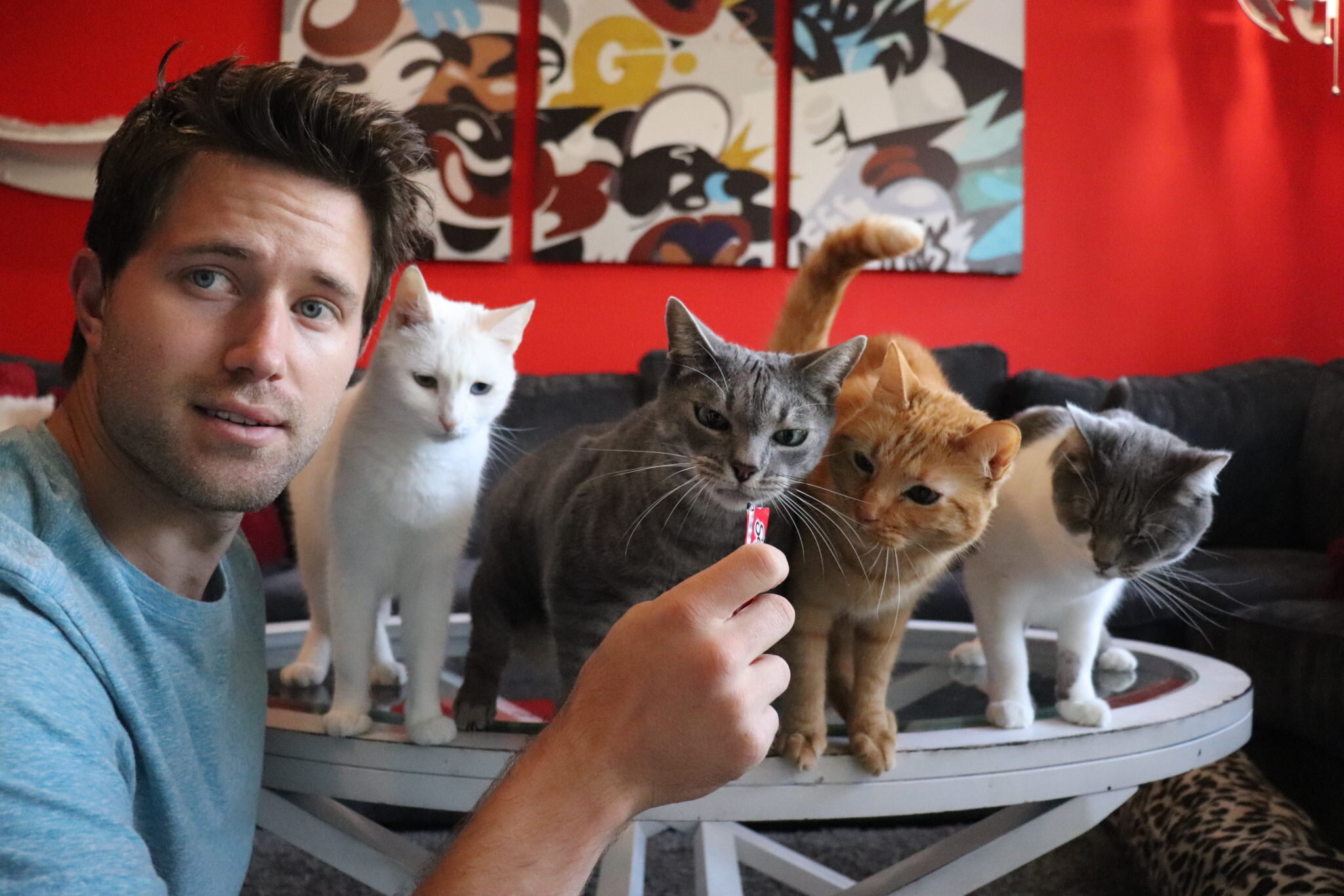 Nathan-Feeding-Princess-Pickles-Ginger-and-Annie--2048x1365.jpg