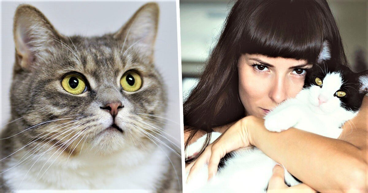 kitty_love-pixa-pex.jpg